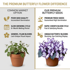 Moonlight Butterfly Flower Seeds – 3000+ Heirloom, 3‑Month Bloom 🦋🌼