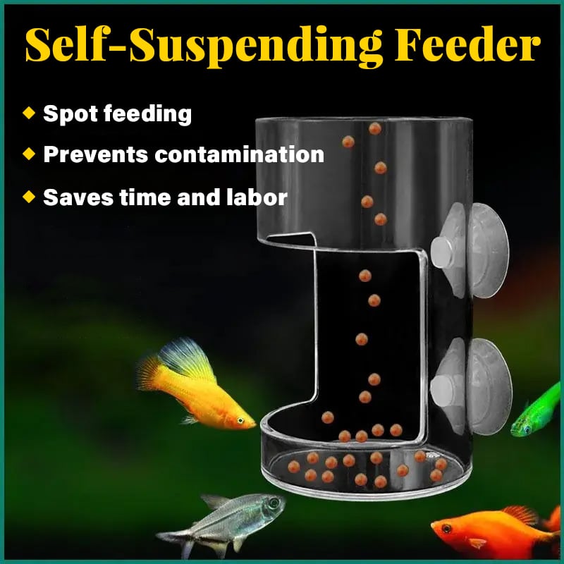 Aquarium Feeding Ring &Tray – Keep Food in Place, Filter Clean 🐟🍽️