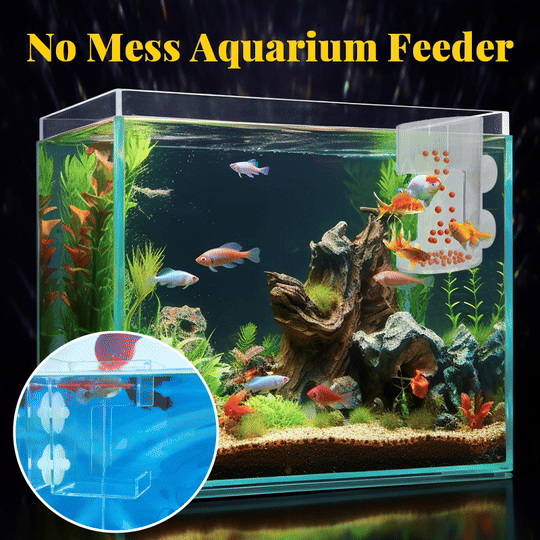 Aquarium Feeding Ring &Tray – Keep Food in Place, Filter Clean 🐟🍽️
