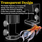 Aquarium Feeding Ring &Tray – Keep Food in Place, Filter Clean 🐟🍽️