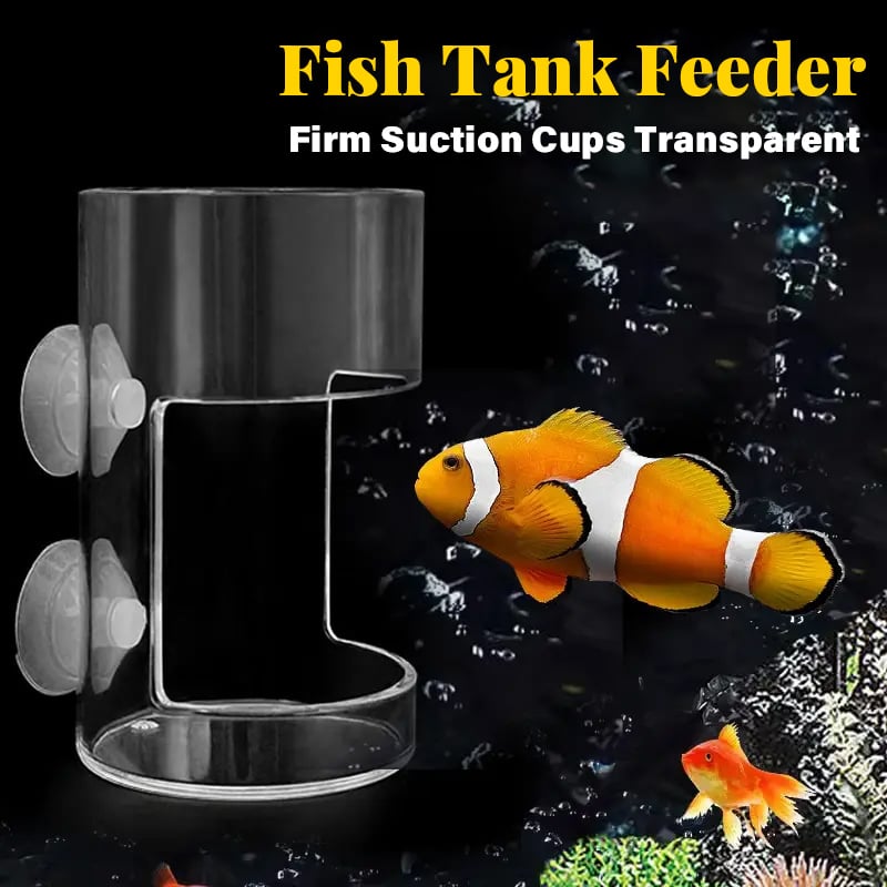 Aquarium Feeding Ring &Tray – Keep Food in Place, Filter Clean 🐟🍽️