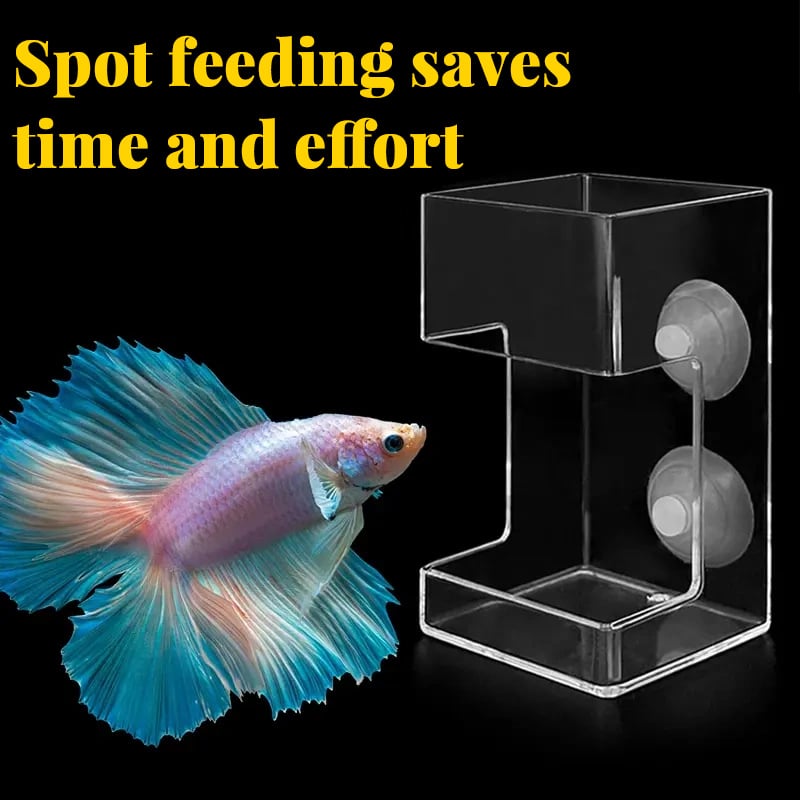Aquarium Feeding Ring &Tray – Keep Food in Place, Filter Clean 🐟🍽️