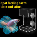 Aquarium Feeding Ring &Tray – Keep Food in Place, Filter Clean 🐟🍽️