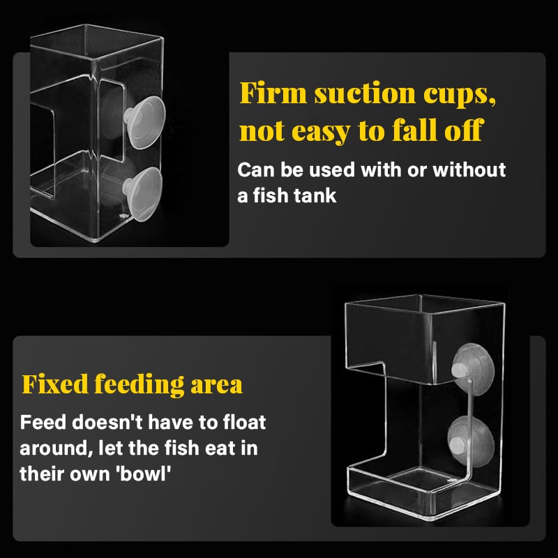 Aquarium Feeding Ring &Tray – Keep Food in Place, Filter Clean 🐟🍽️